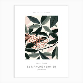 Elderberries Le Marche Fermier Poster 4 Art Print