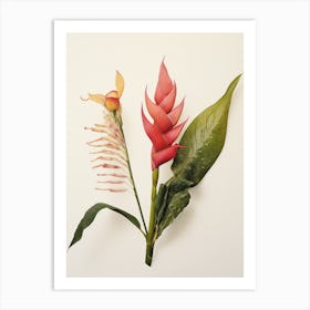 Pressed Flower Botanical Art Heliconia 1 Art Print