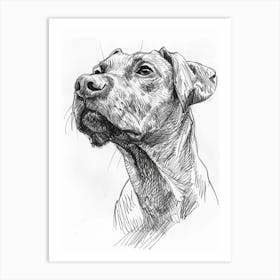 Dog Pencil Line Sketch 1 Art Print