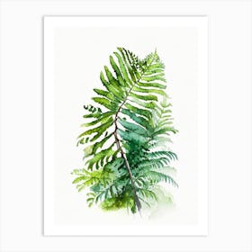 Dwarf Tree Fern Watercolour Art Print