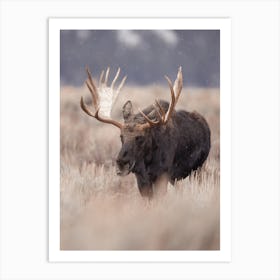 Migrating Moose Art Print