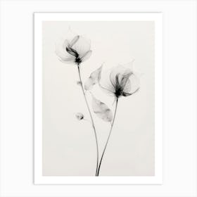 Transparent Botanic No 7 Art Print