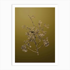 Gold Botanical Atlantic White Cypress on Dune Yellow n.2592 Art Print