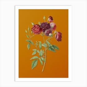 Vintage Ternaux Rose Bloom Botanical on Sunset Orange n.0267 Art Print