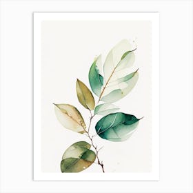 Rhododendron Leaf Minimalist Watercolour Art Print