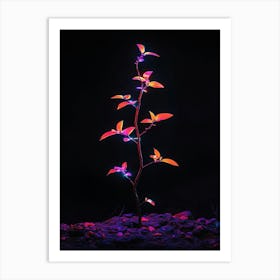 Plant With Lights Art Print