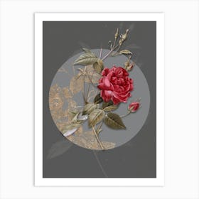 Vintage Botanical Blood Red Bengal Rose on Circle Gray on Gray n.0299 Art Print