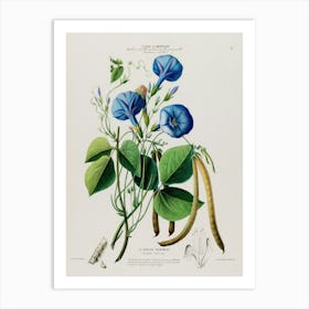 Blue Beans Art Print