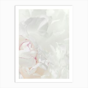 Poppy Leaves White_2314108 Art Print