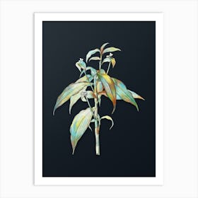 Vintage Commelina Zanonia Botanical Watercolor Illustration on Dark Teal Blue Art Print
