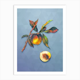 Vintage Peach Botanical Art on Summer Song Blue n.1153 Art Print