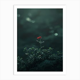 Single Flower In The Dark 111 Art Print