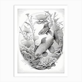 Kin Kikokuryu Koi Fish Haeckel Style Illustastration Art Print