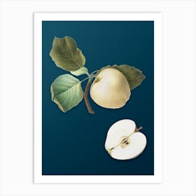 Vintage Astracan Apple Botanical Art on Teal Blue n.0266 Art Print