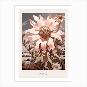 Floral Illustration Edelweiss 2 Poster Art Print