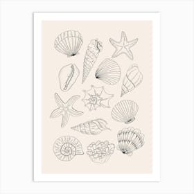 Neutral Seashells Art Print