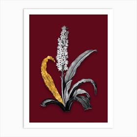 Vintage Eucomis Punctata Black and White Gold Leaf Floral Art on Burgundy Red Art Print