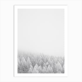 White Winter Forest Art Print