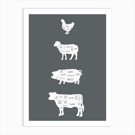 Butcher Meat Cuts Solid Art Print