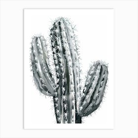Silver Torch Cactus Minimalist Abstract 2 Art Print