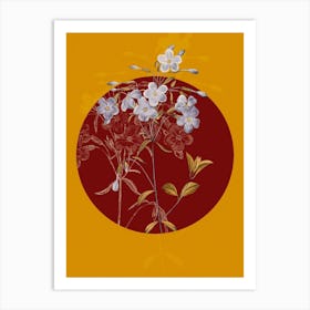 Vintage Botanical Phlox on Circle Red on Yellow n.0321 Art Print