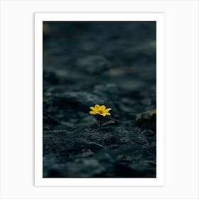 Single Yellow Flower 40 Art Print