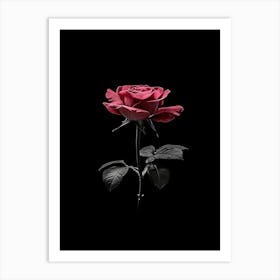 Black Rose 5 Art Print