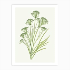 Caraway Herb Pencil Colour 2 Art Print