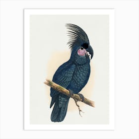 Parrot On A Branch 3 Art Print