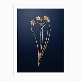 Gold Botanical Rush Daffodil on Midnight Navy n.3812 Art Print