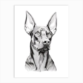 Doberman Pinscher Dog, Line Drawing 2 Art Print