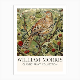 William Morris, Style Bird Collection, Partridge Art Print