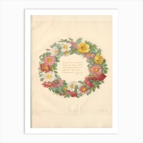 Rose Illustration from Les Roses vol.1, Pierre Joseph Redoute Art Print