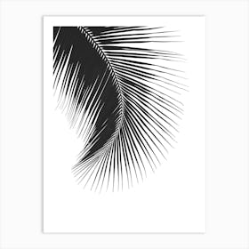 Palm Leaf Vector Art Print