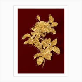 Vintage Red Gallic Rose Botanical in Gold on Red n.0436 Art Print