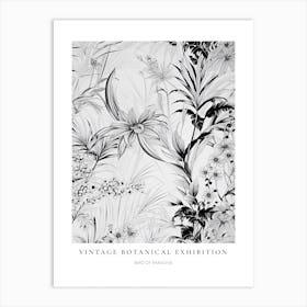 Bird Of Paradise B&W Vintage Botanical Poster Art Print