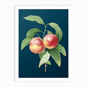 Vintage Peach Botanical Art on Teal Blue n.0753 Art Print