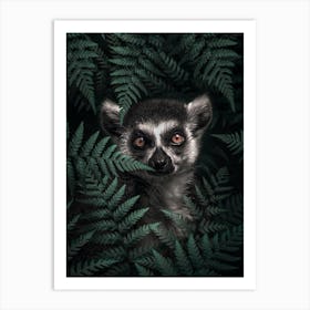 Ring Tailed Lemur Art Print