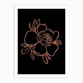 Peony Flower On Black Background Art Print