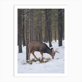 Deer In Snow Art Print