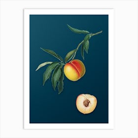 Vintage Peach Botanical Art on Teal Blue n.0884 Art Print