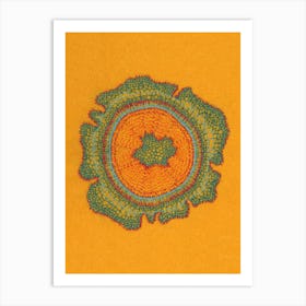 Taxus Growing Orange Art Print