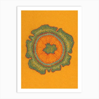 Taxus Growing Orange Art Print
