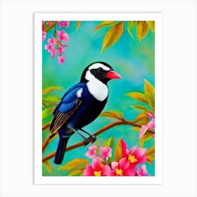 Magpie Tropical bird Art Print