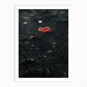 Single Red Flower In Water Art Print