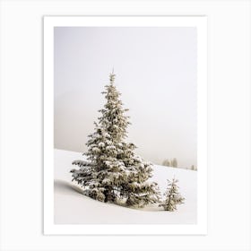 Snowy Pine Tree Art Print
