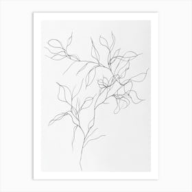 Leaf On A Branch 4 Art Print