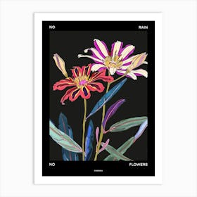 No Rain No Flowers Poster Cineraria 1 Art Print