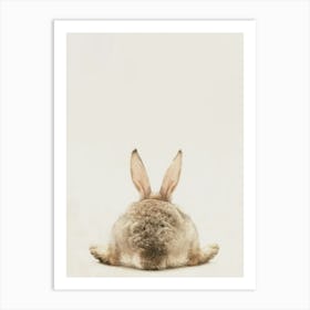 Rabbit'S Back Art Print