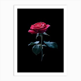 Rose On A Black Background 16 Art Print